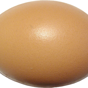 Farm Fresh Eggs